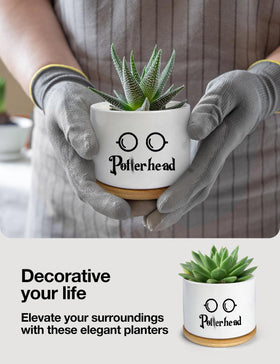 PWHINGN window sill decor succulent pot from PWHINGN enhances office spaces.