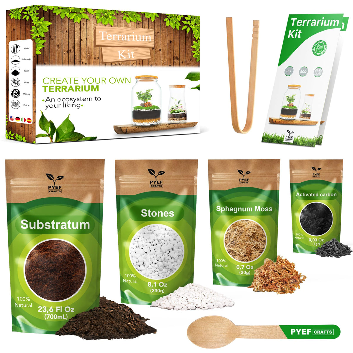 PYEF CRAFTS DIY Terrarium Kit basic setup for a simple beginner project