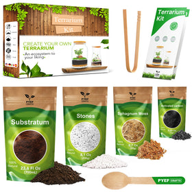 PYEF CRAFTS DIY Terrarium Kit basic setup for a simple beginner project