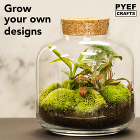 PYEF CRAFTS DIY Terrarium Kit desk terrarium ideal for calming home office vibes