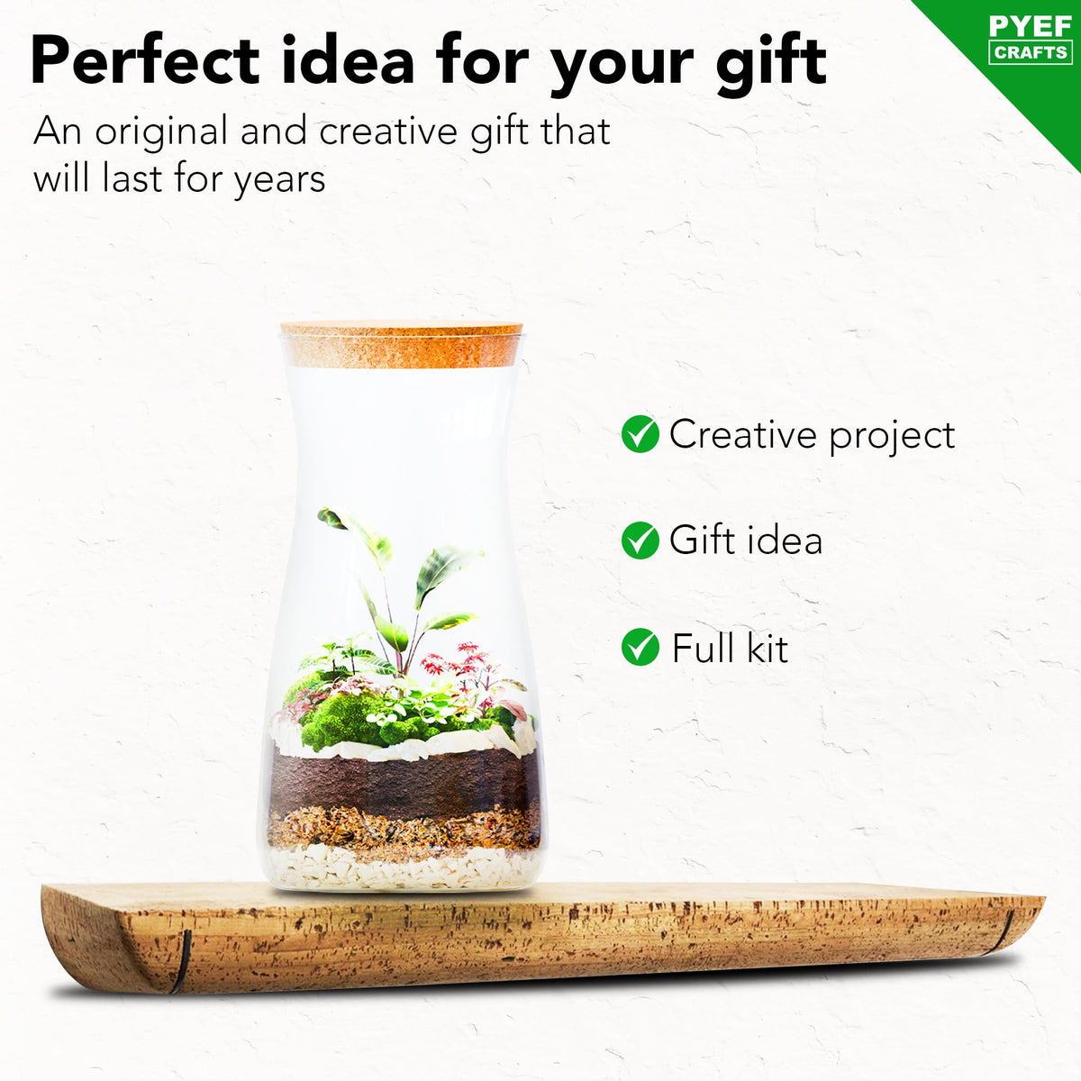PYEF CRAFTS DIY Terrarium Kit mini fern setup for lush, low maintenance corners