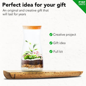 PYEF CRAFTS DIY Terrarium Kit mini fern setup for lush, low maintenance corners
