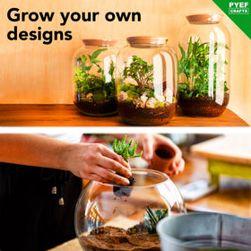 PYEF CRAFTS DIY Terrarium Kit moss and charcoal showing moisture control and aesthetics