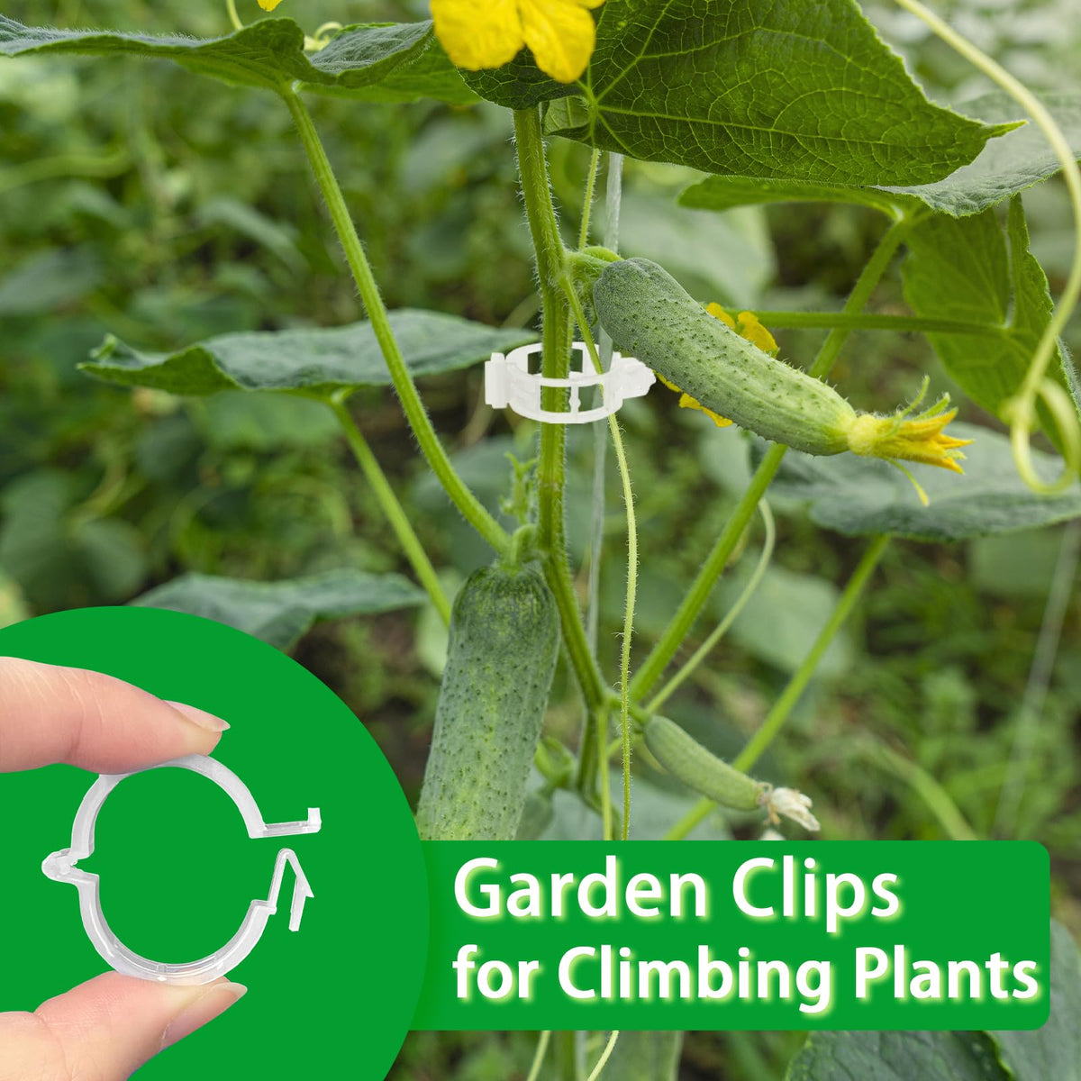 Pynqdfu 400pcs pack reduces clutter while supporting stems.