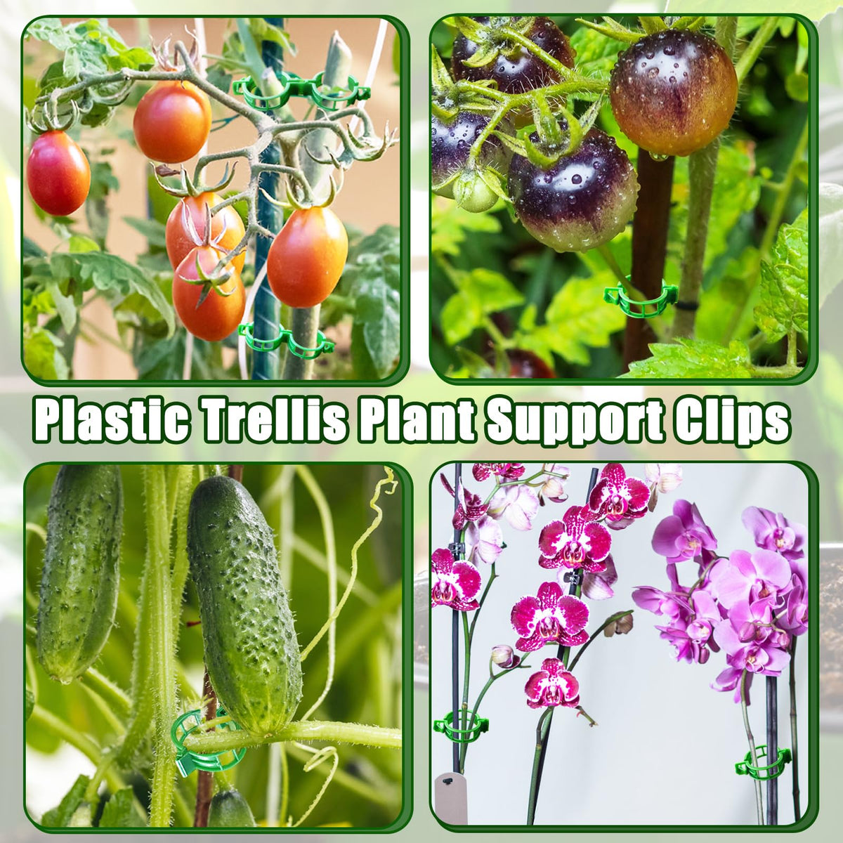 Pynqdfu durable garden clip design promotes airflow around stems.