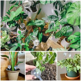 Pynqdfu easy-fill and insert feature simplifies watering