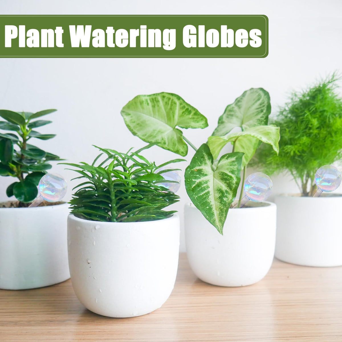 Pynqdfu eight-pack watering globes ready for versatile plant care.