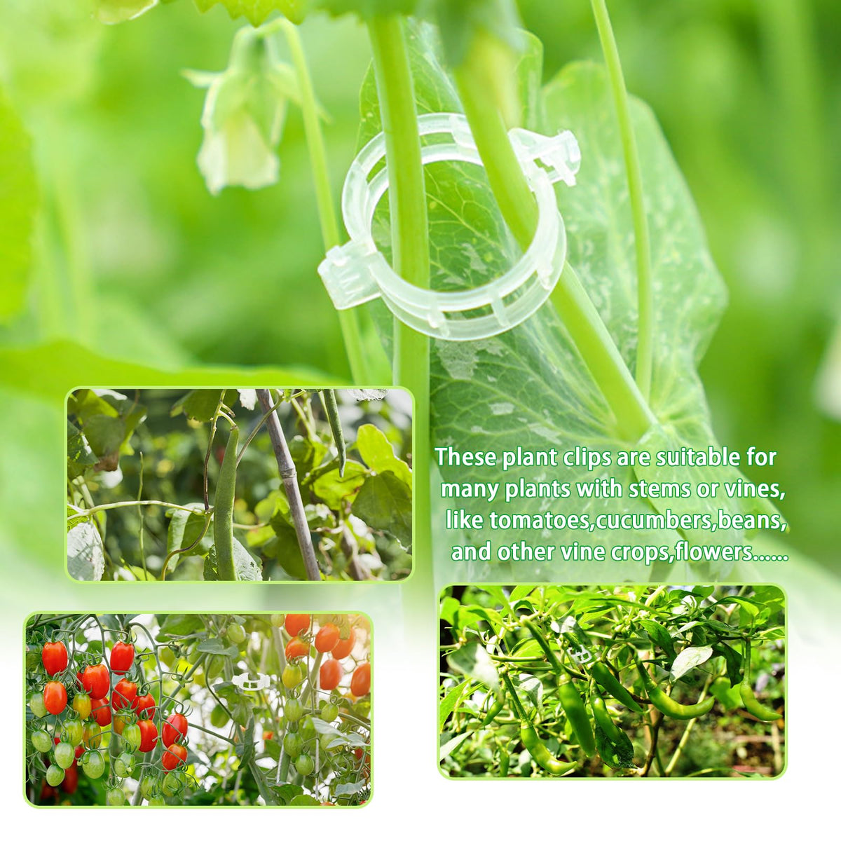 Pynqdfu greenhouse clip in action with climbing plants.