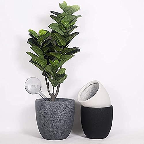 Pynqdfu indoor-outdoor plants with reliable watering globe