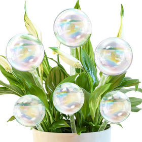 Pynqdfu iridescent large watering ball ready to nourish indoor plants.