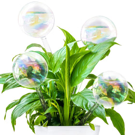 Pynqdfu rainbow glass watering globe in pot for steady indoor hydration.