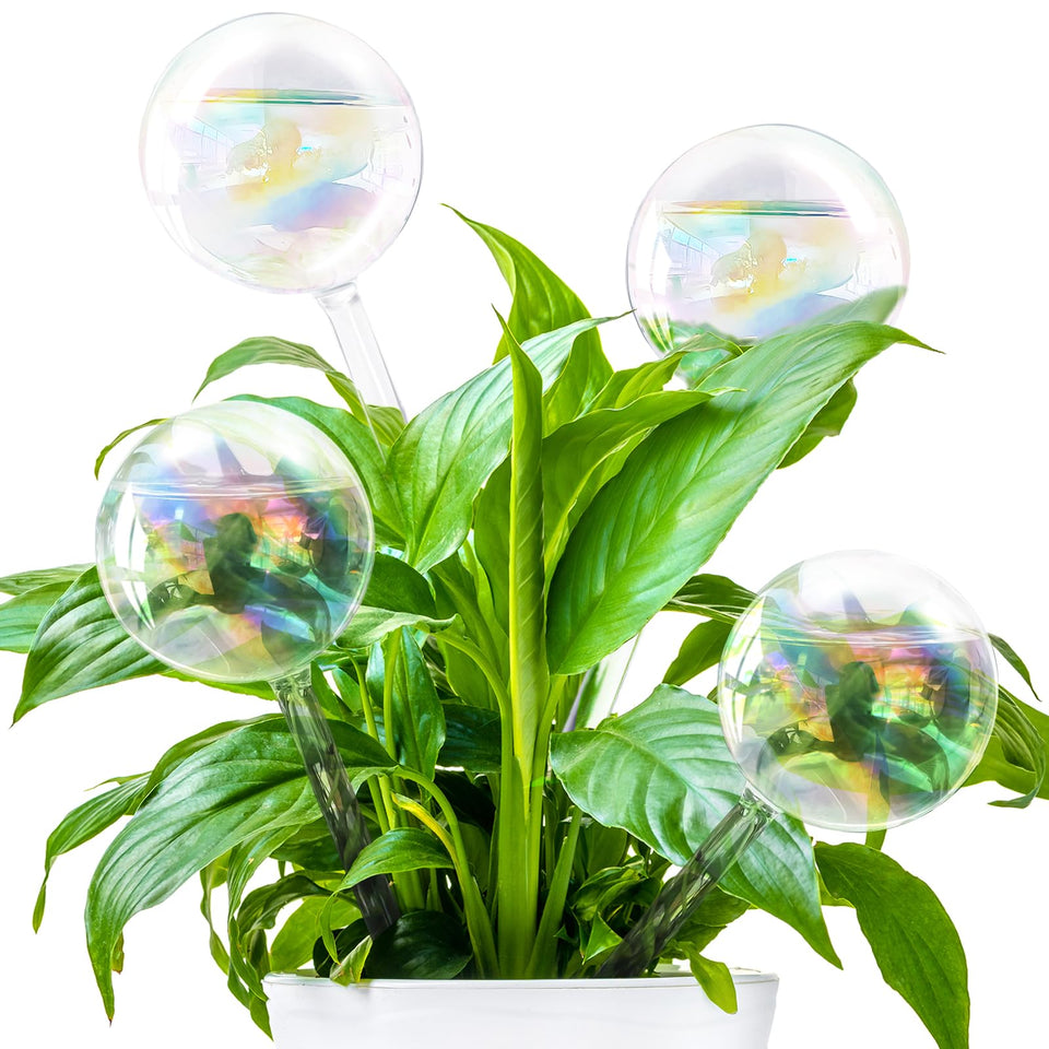 Pynqdfu rainbow glass watering globe in pot for steady indoor hydration.