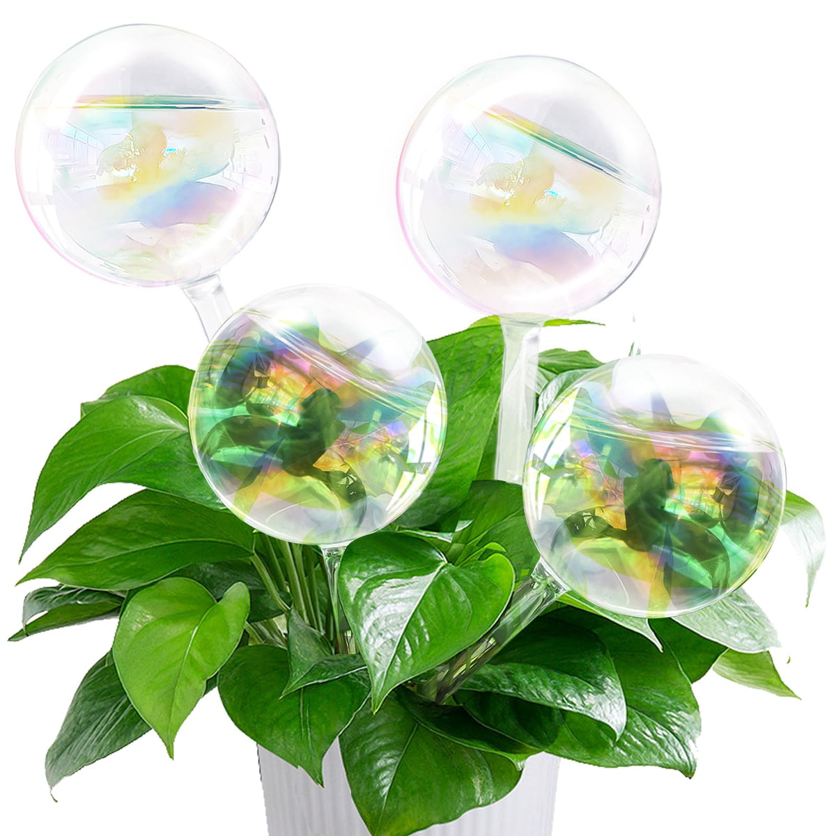 Pynqdfu rainbow gradient glass watering globes package, four durable self-watering devices for vacations.
