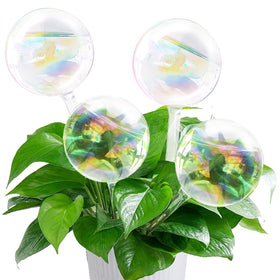 Pynqdfu rainbow gradient glass watering globes package, four durable self-watering devices for vacations.