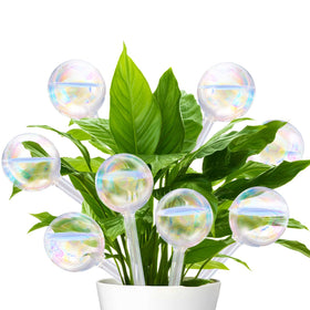 Pynqdfu rainbow gradient watering globe for automatic hydration of houseplants.