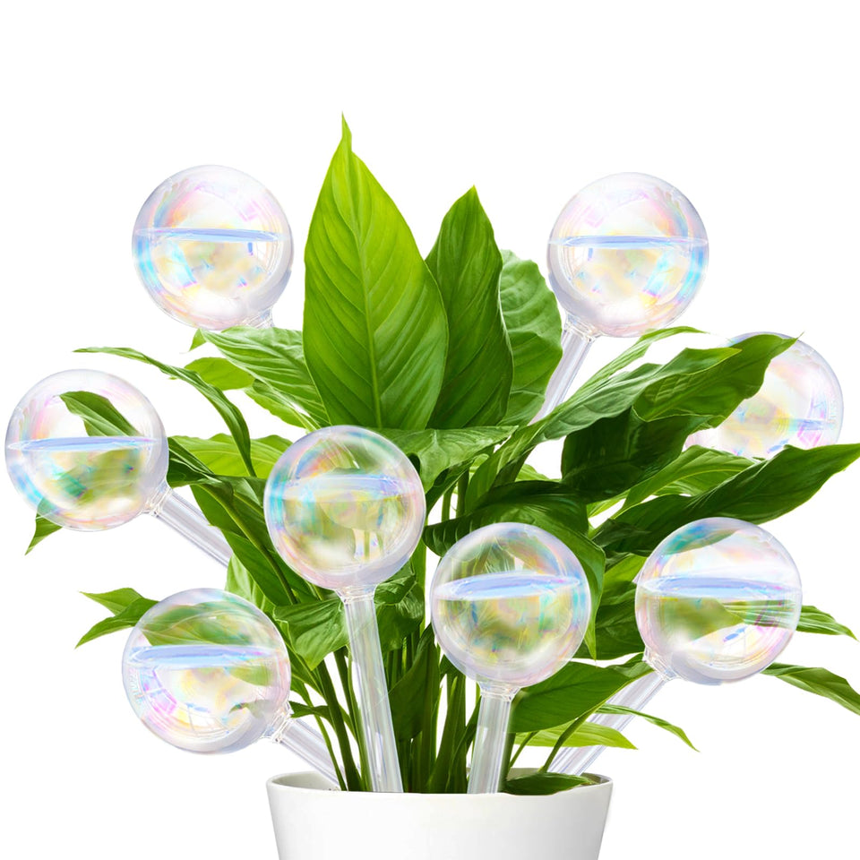 Pynqdfu rainbow gradient watering globe for automatic hydration of houseplants.