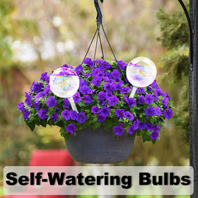Pynqdfu self-watering globe gift for plant lovers.