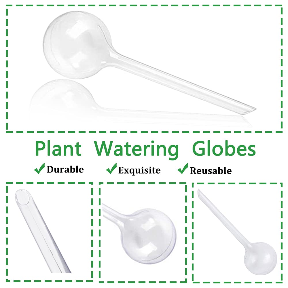 Pynqdfu self-watering globe in use delivering steady moisture