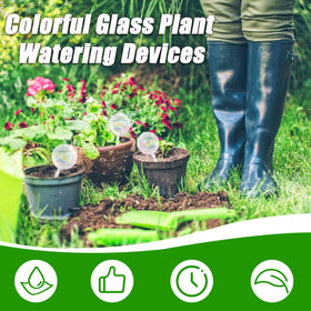 Pynqdfu self-watering globes in a pot, ready to reduce plant care during busy days.