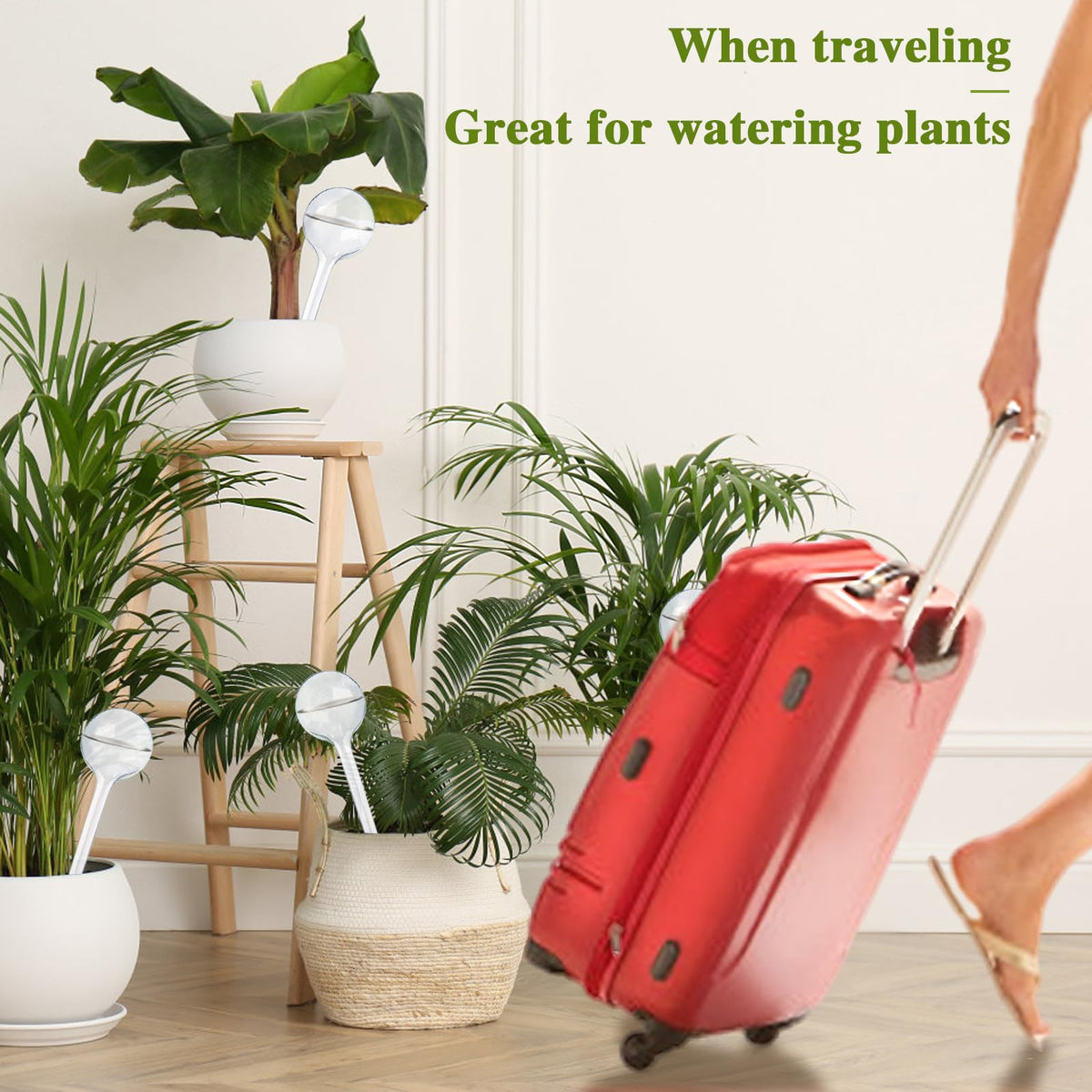 Pynqdfu bulbs are travel-friendly for plant care while you are away.
