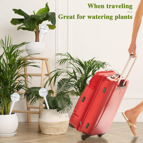 Pynqdfu bulbs are travel-friendly for plant care while you are away.