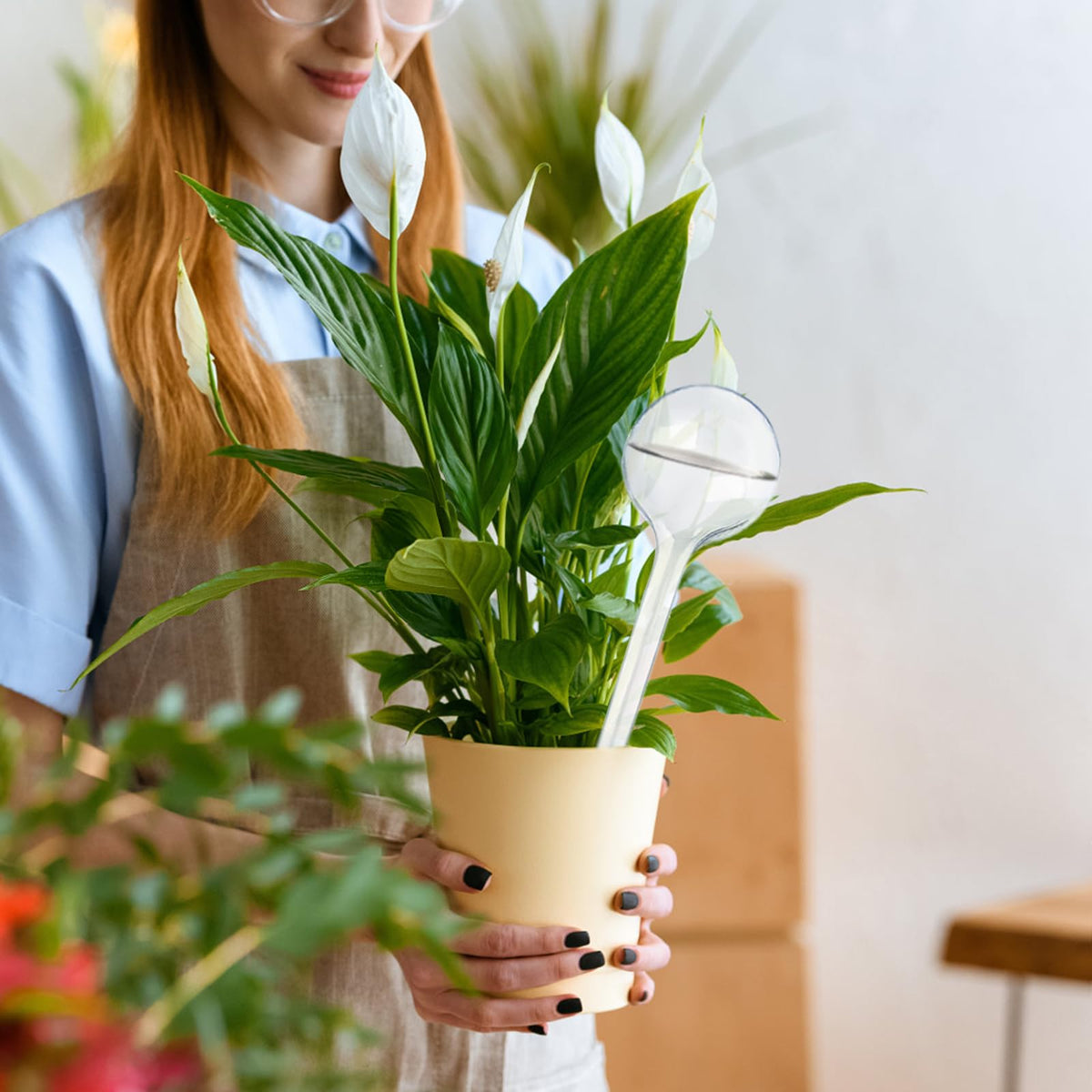 Pynqdfu durable, reusable bulbs support seasonal gardens and potted plants.