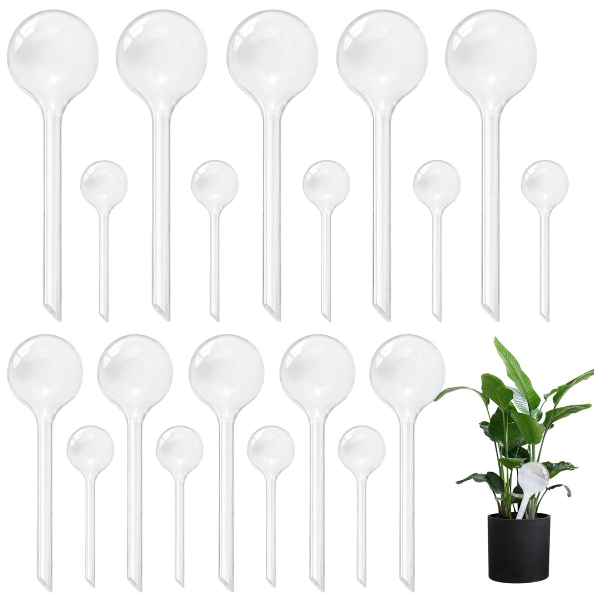 Pynqdfu clear watering globe package content, 20 bulbs for versatile plant care.