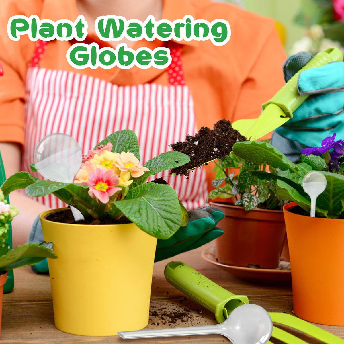 Pynqdfu watering globe used with varied plants highlights mess-free watering.