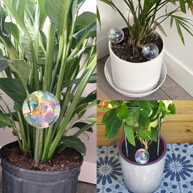Pynqdfu watering globe on a hanging plant demonstrates versatility
