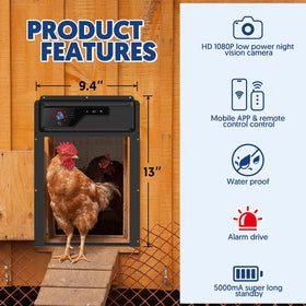 PYUNZGO HD1080p camera with night vision for clear dawn and dusk footage.