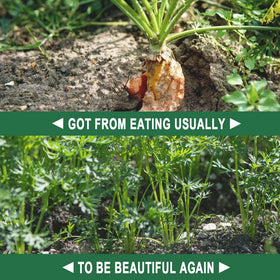 pzwmmsse plant-based formula supports wildlife-aware garden protection