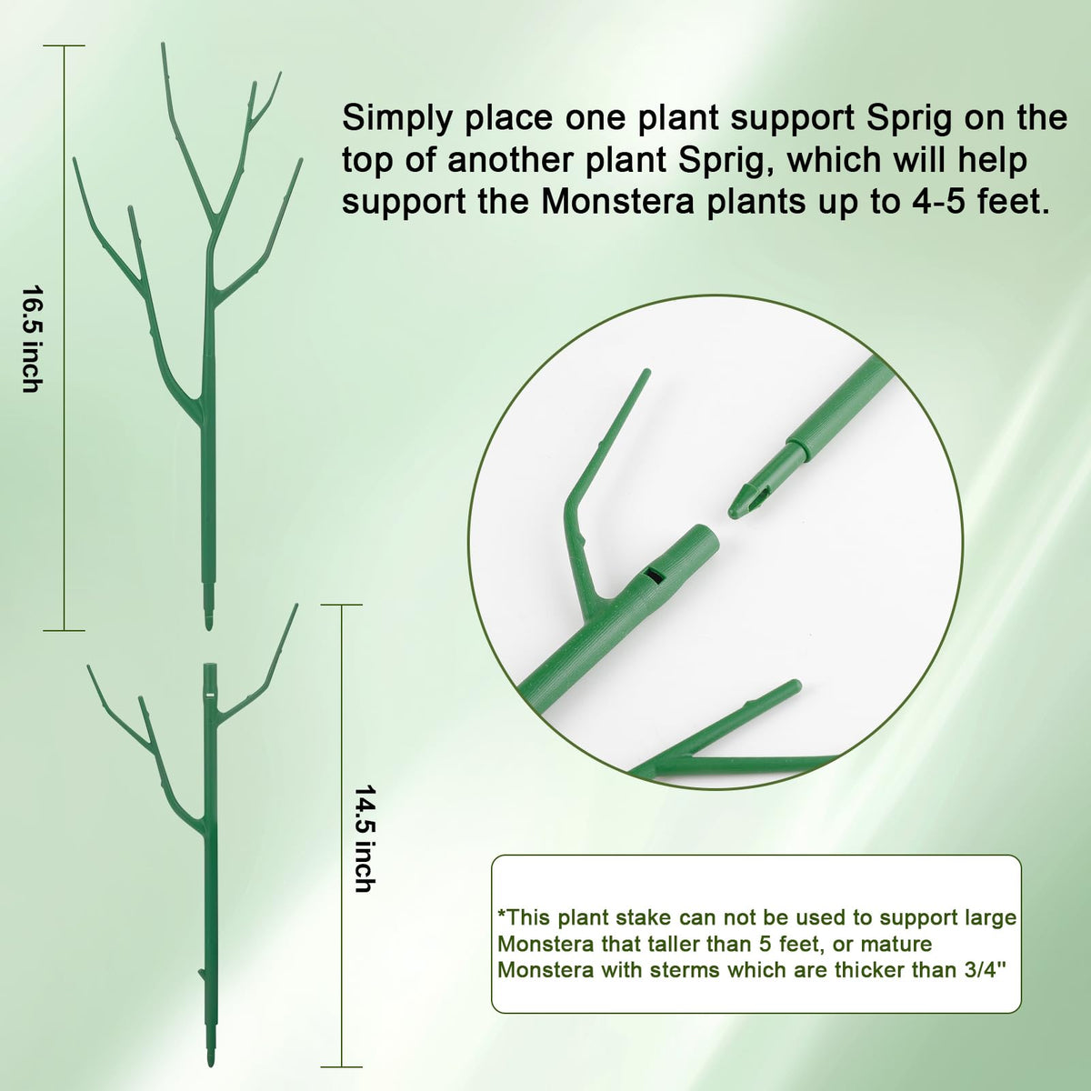 Qaobo plant stakes for pothos blend with foliage while guiding growth upward.