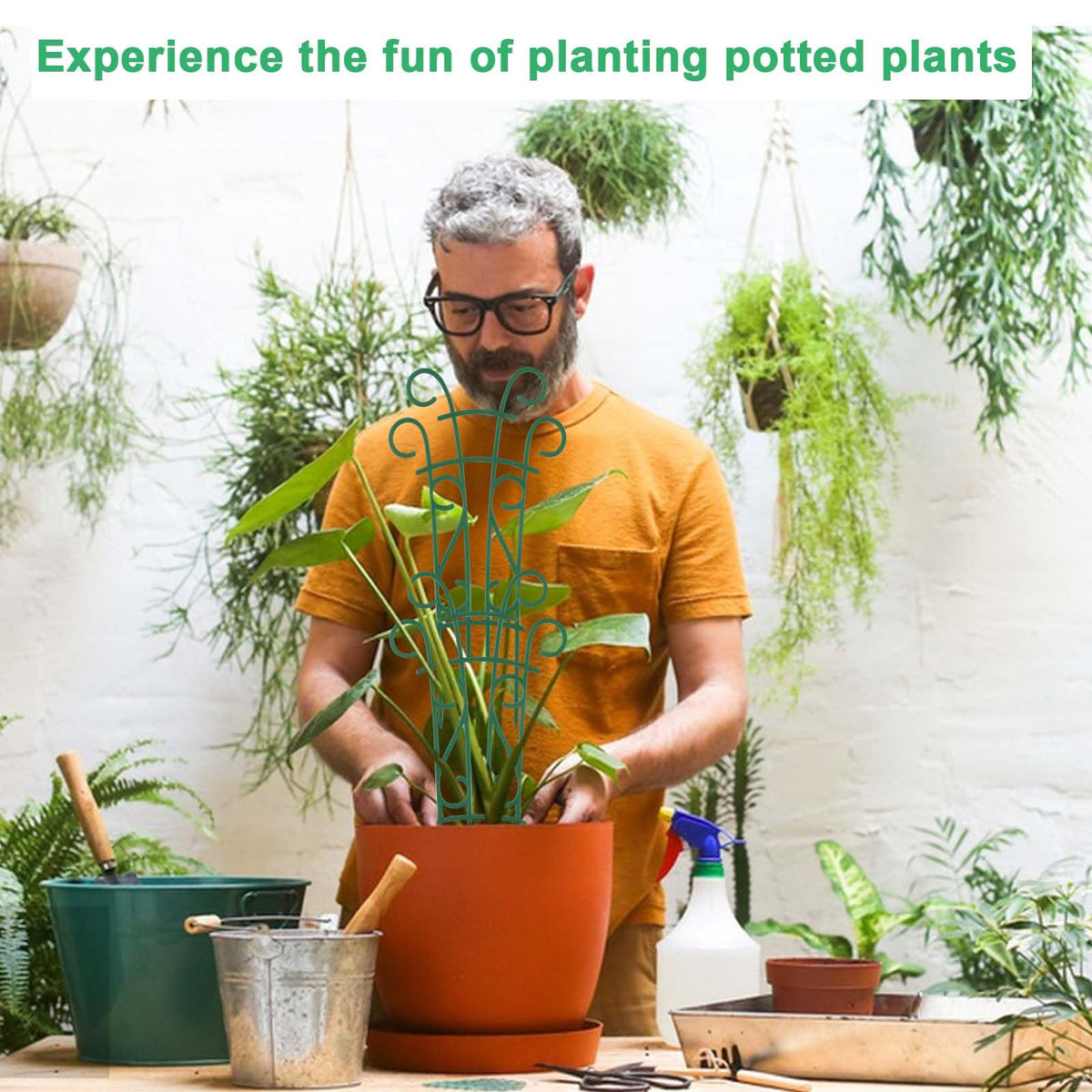 Qaobo 8-pack trellis offers versatile support for multiple pots.