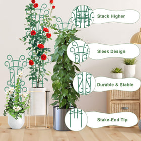 Qaobo durable plastic plant support keeps stems upright for vines.