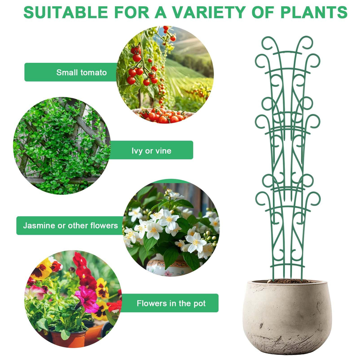 Qaobo helps elevate plants to catch more sunlight indoors.