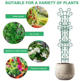 Qaobo helps elevate plants to catch more sunlight indoors.