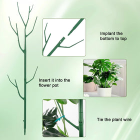 Qaobo indoor plant trellis setup supports leafy plants upward