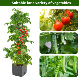 Qaobo self-watering planter reservoir maintains soil moisture for roots.