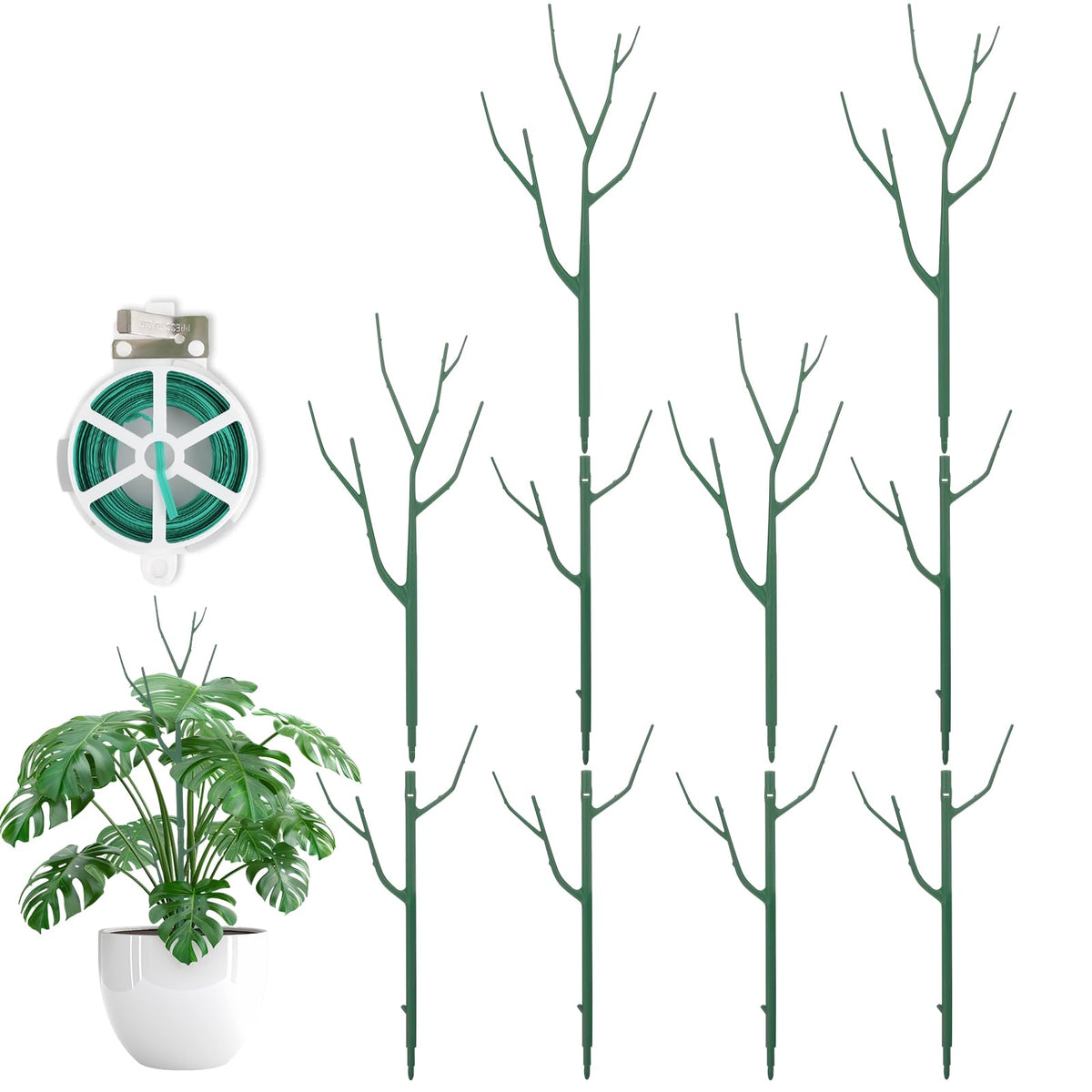 Qaobo stackable plant stakes support Monstera growth indoors and outdoors