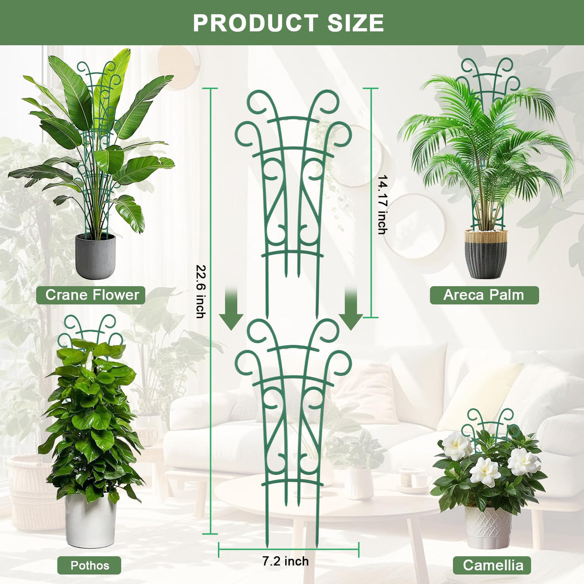 Qaobo 22in extended trellis helps taller plants climb without crowding.