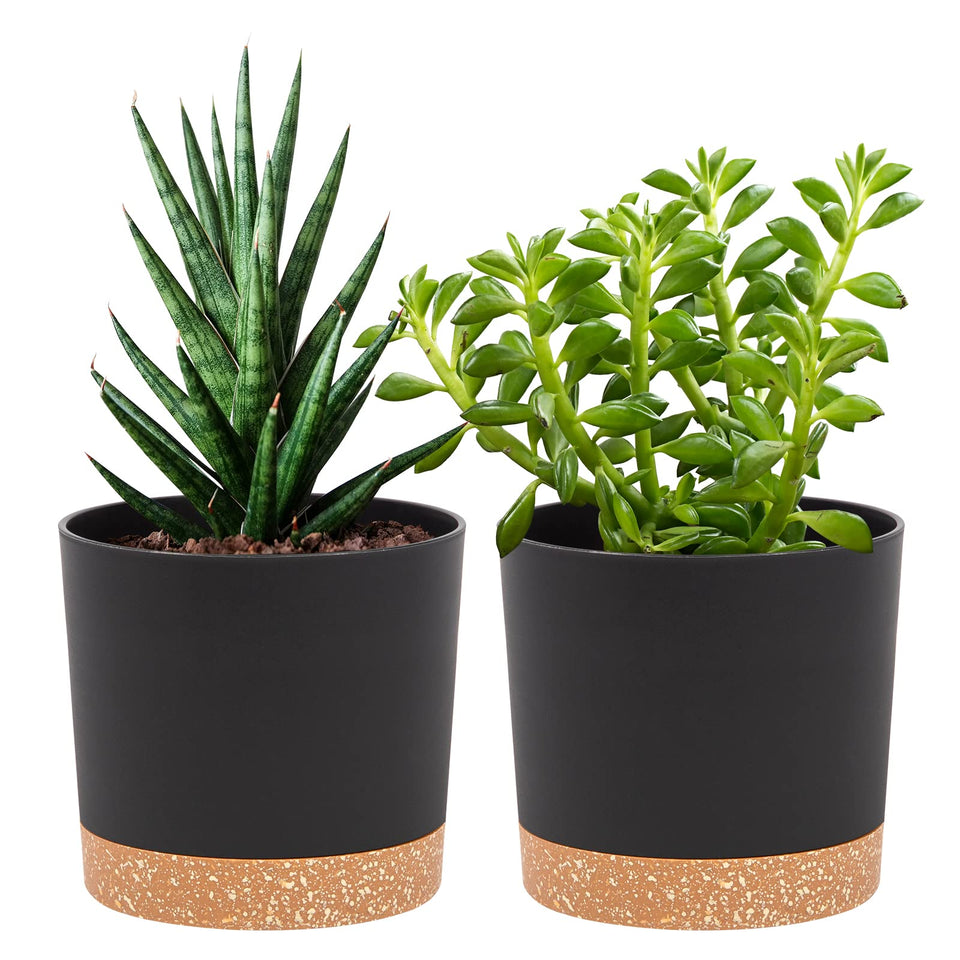 QCQHDU 5-inch pot with drainage holes and saucer for tidy indoor plant care.