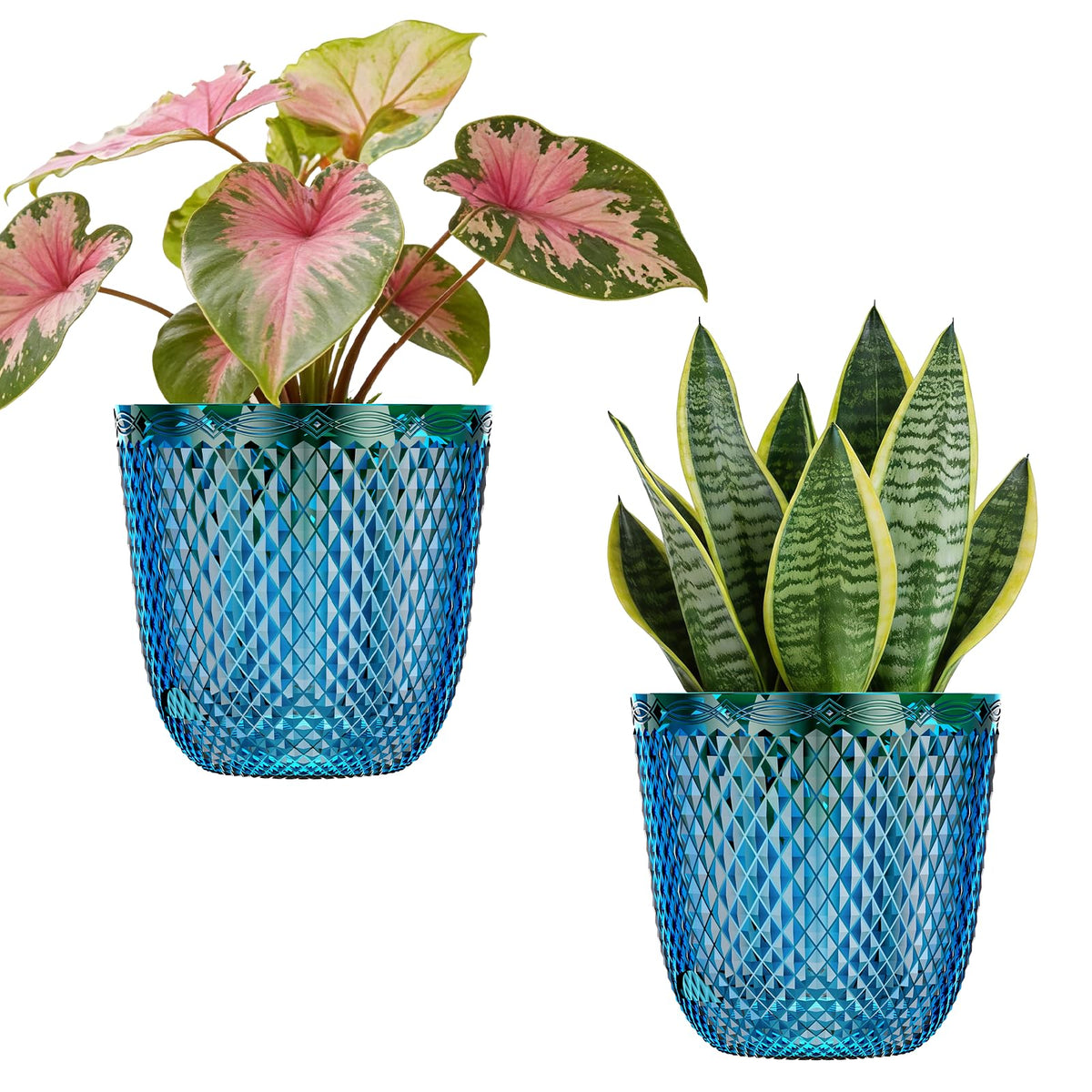 QCQHDU 7.2-inch self-watering pot with drainage holes supports healthy indoor plants.