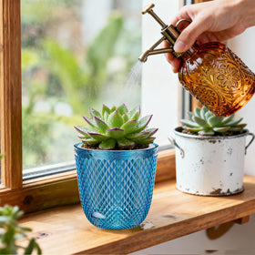 QCQHDU pot demonstrates bottom water filling port for easy watering.