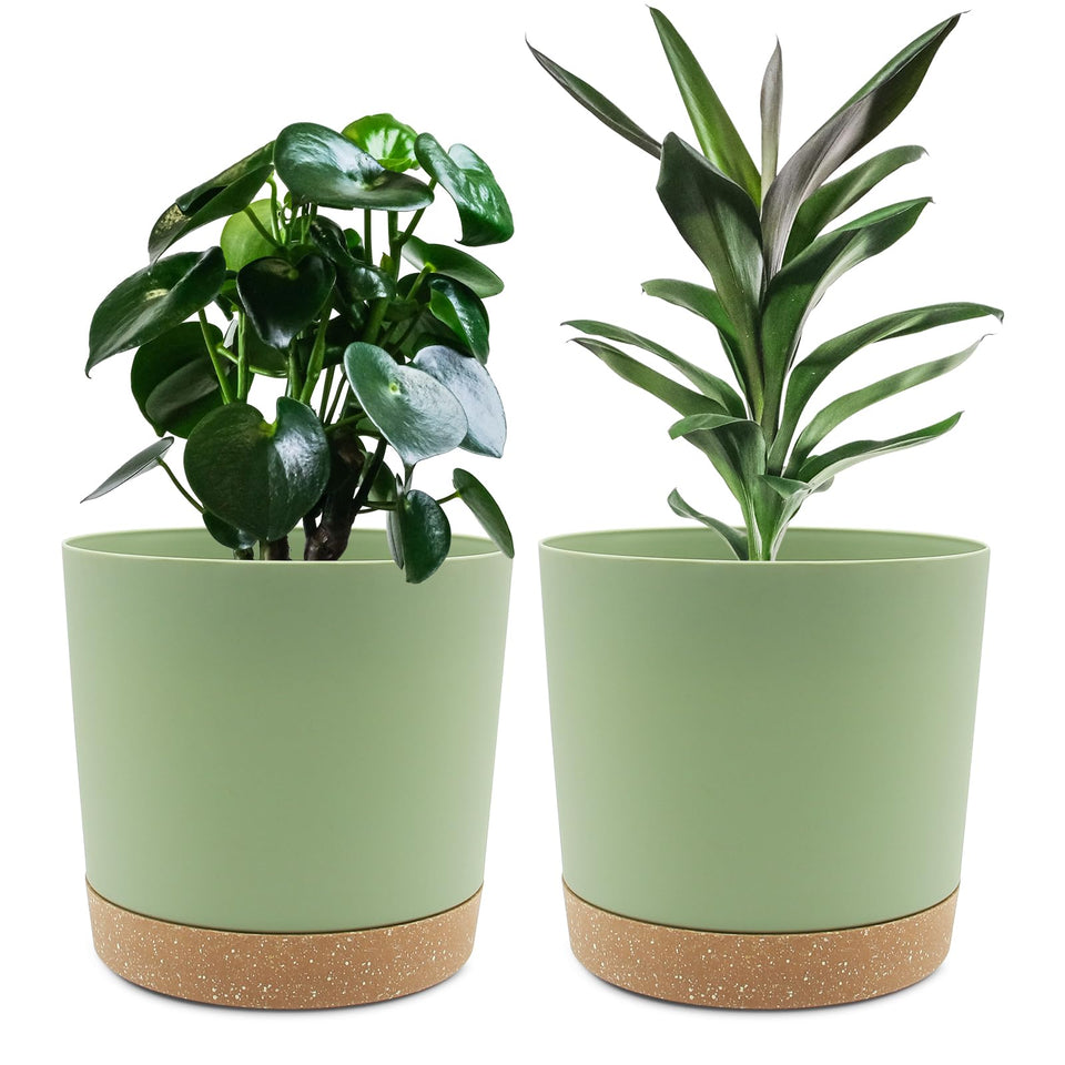 QCQHDU 8-inch plant pot with drainage holes for tidy watering