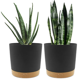 QCQHDU 8-inch plant pot with matte finish for stylish indoor decor