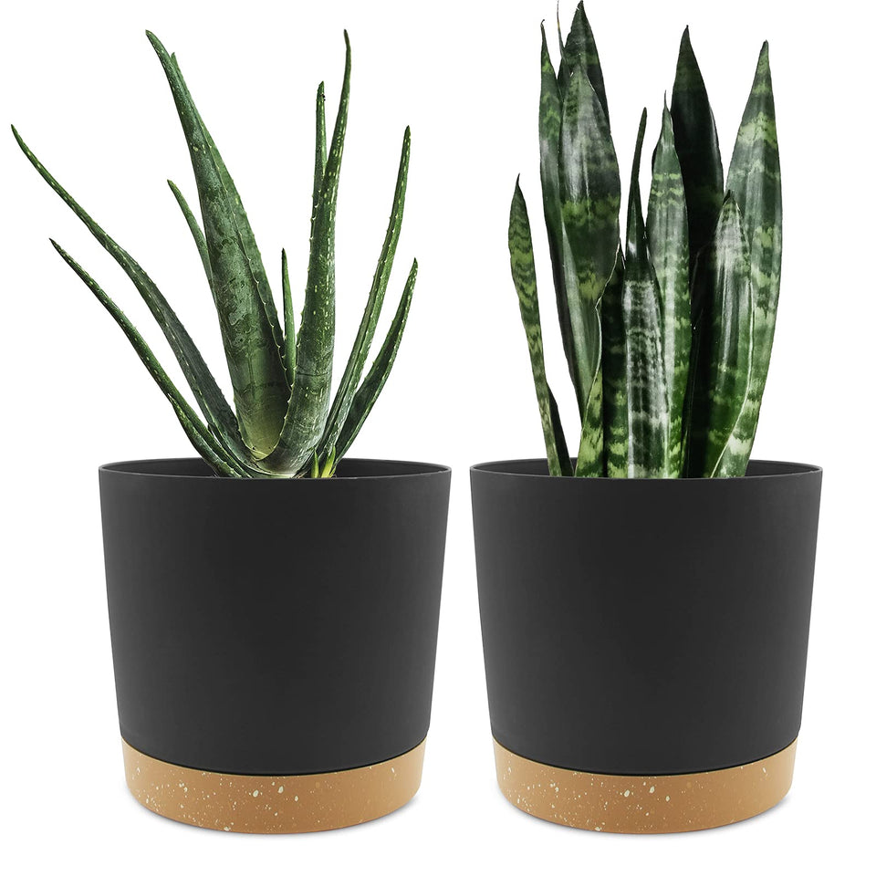 QCQHDU 8-inch plant pot with matte finish for stylish indoor decor