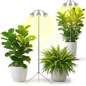 QCQHDU full-spectrum grow light head close-up for robust indoor plants and vibrant growth.