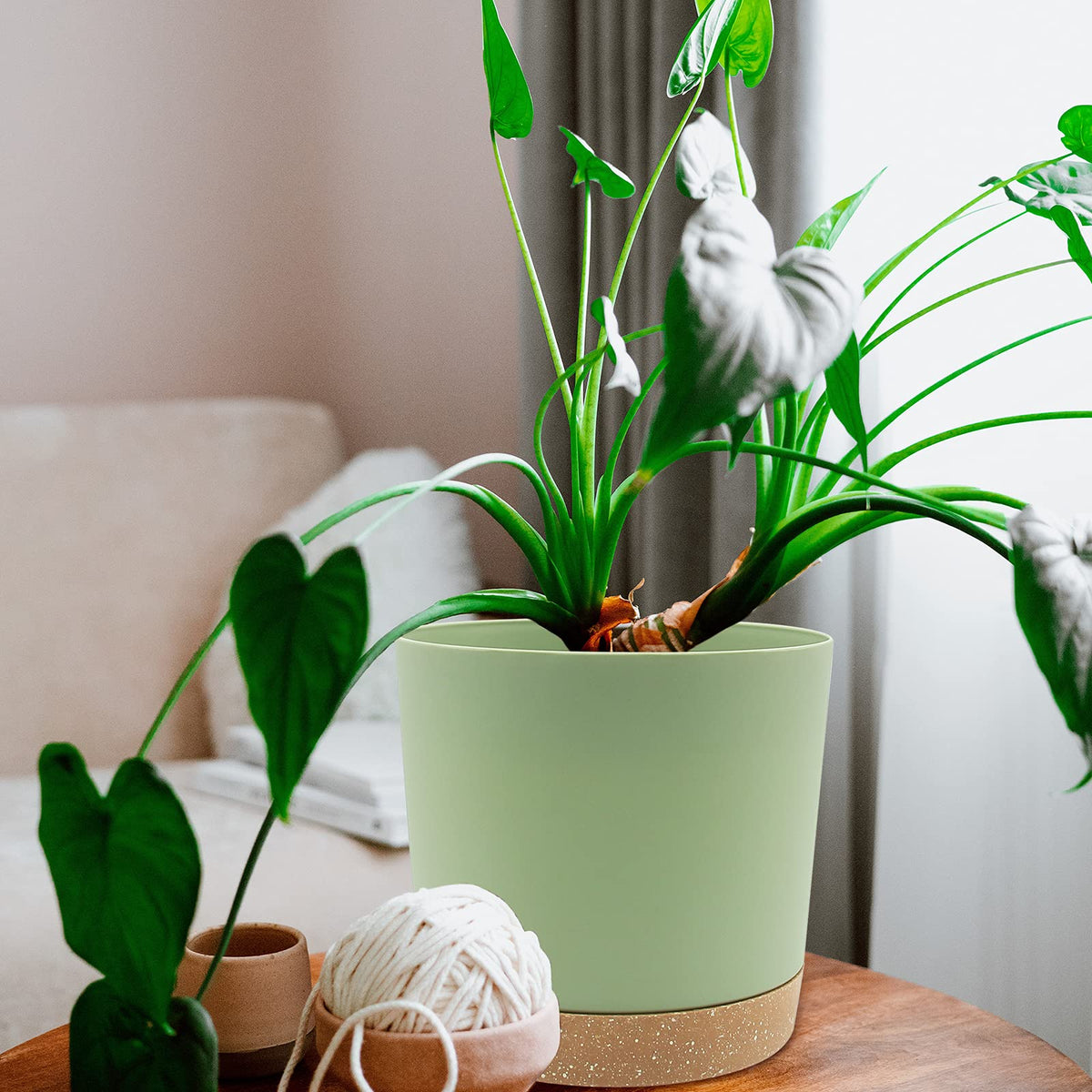 QCQHDU home garden decor pot blends with modern spaces