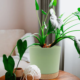 QCQHDU home garden decor pot blends with modern spaces