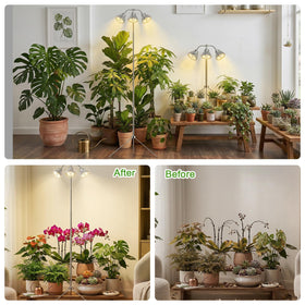 QCQHDU indoor garden setup scene showing versatile light for houseplants.